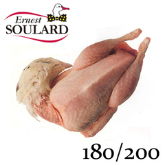 �X�[���[�� ���@���f�Y �t���b�V�� �J�C�� P.A.C.(���t���E���c�Ȃ�) 180/200 [124001]