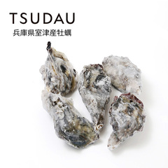 TSUDAU Hpkty//Le[ICX^[ S(50g) 1kg [202088]