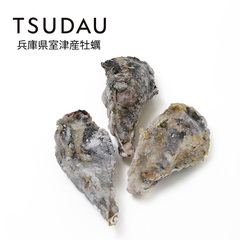 TSUDAU Hpkty/Le[ICX^[ L(80g) 20 [202087]