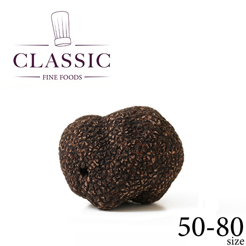 �t�����`F&B �v�����^���БI�� �t���b�V�� ���g�����t �z�[�� EXTRA 50-80�T�C�Y