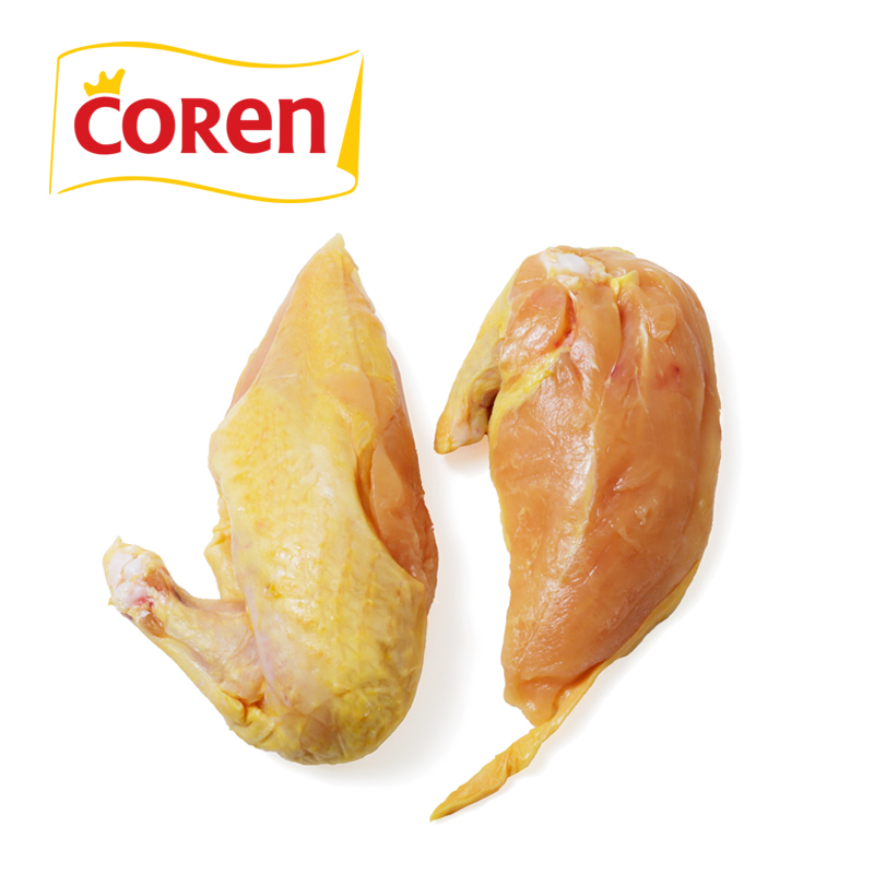 [蕪]R t[W CG[`L Vv[/{ނ˓(Ht) 2 [121040]