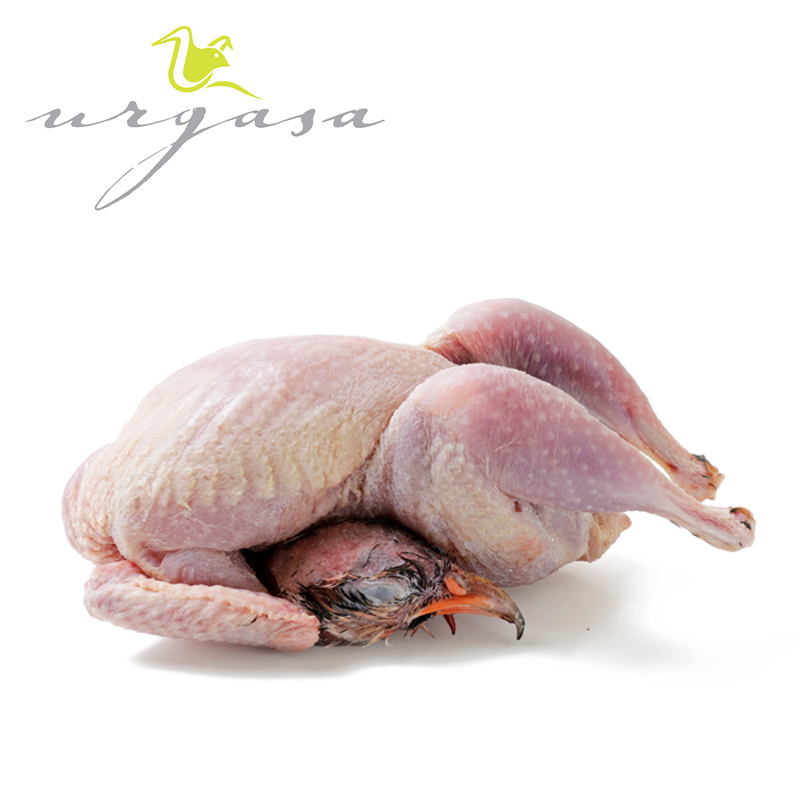 [蕪]EKT yh[/REY(tEEHȂ) 360-400