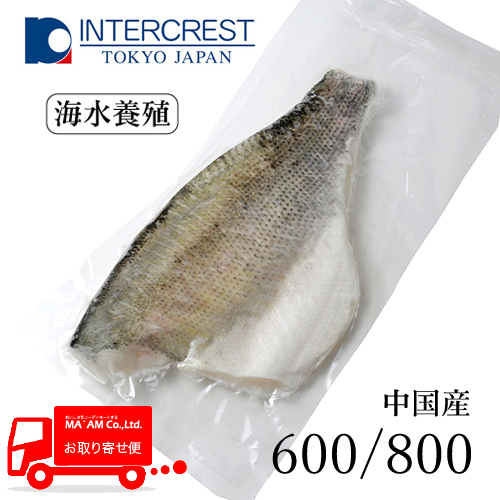 [P[X̔]Y C{B Hp tB(t) ^pbN 600/800 [200533]