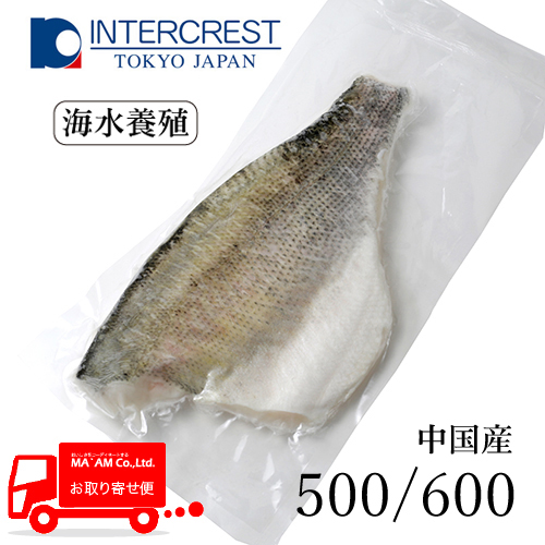 [P[X̔]Y C{B Hp tB(t) ^pbN 500/600 [200534]