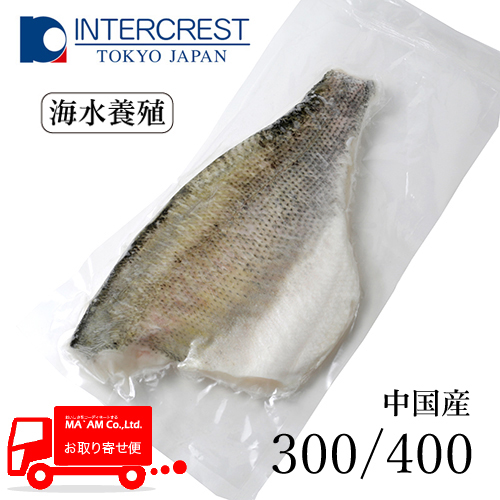 [P[X̔]Y C{B Hp tB(t) ^pbN 300/400 [200536]