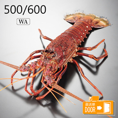  VR CZGr(I[XgAY) 500/600