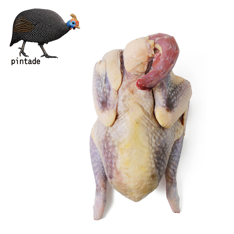 �H���̏����I �F�{���Y 3D���� �V���z���z���� �ی{ �i���E�����E���݂��Ȃ��j