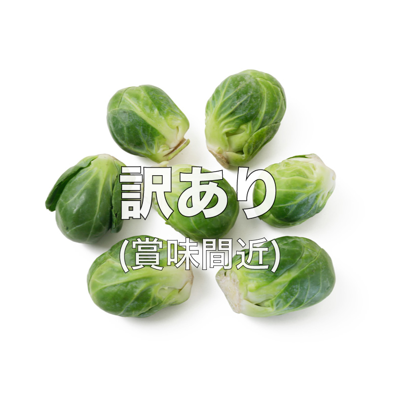 [(26�N3��27�����ו�)������50%off]�C�[�X�g�u���b�N �I�[�X�g�����A�Y �v���~�A�� ���N�u���b�Z���X�|���b�c/��L���x�c1kg