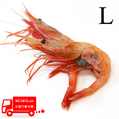 [P[X̔]D} hgp VRÊCV(VA) LTCY 1kg [206634]