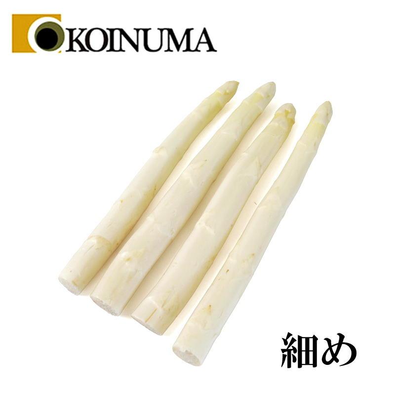鯉沼商会 オランダ産 フレッシュ ホワイトアスパラガス 細め 約1kg 鯉沼商会 オランダ産 フレッシュ ホワイトアスパラガス 細め 約1kg