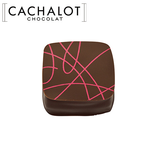 �J�V���� �`���R���[�g �K�i�b�V�� �p���t���[�Y 20������