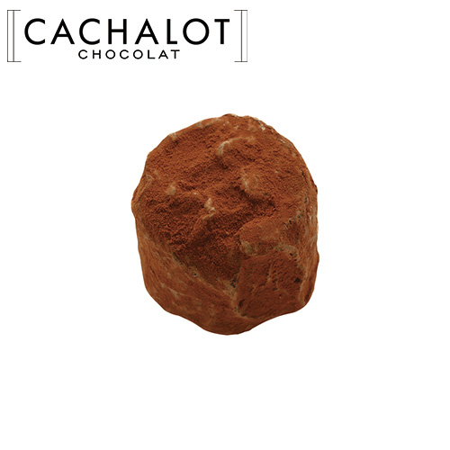 �J�V���� �`���R���[�g �K�i�b�V�� �g�����t 20������
