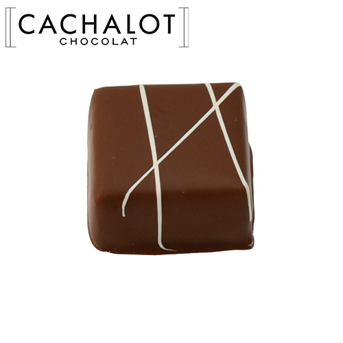 �J�V���� �`���R���[�g �K�i�b�V�� �p���_���W���� 20������