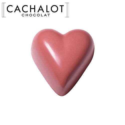 �J�V���� �`���R���[�g ���[���h �t�����{���[�Y 20������