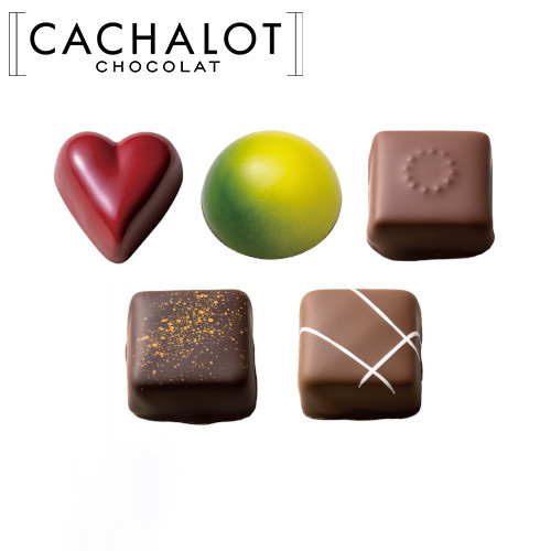 �J�V���� �V���R���A�\�[�g A 5��~20������