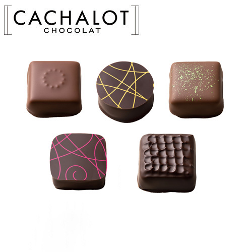 �J�V���� �V���R���A�\�[�g D 5��~20������	
