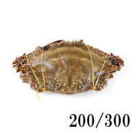 �n��I/�K�U�~�N���u ���E���h 200/300