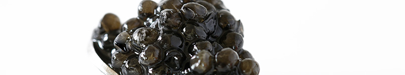 �{�B�̃��V�A�`���E�U������V�R�̃p�h���t�B�b�V���܂ŃL���r�A�𑽐���舵�����B