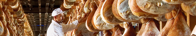 �C�^���A�����E�Ɍւ�v���V���[�g�ƃT���~�B�`���ɗ��ł����ꂽ�����i���Ɛ[�����킢�́A�l�X�𖣗��������Ă��܂��B