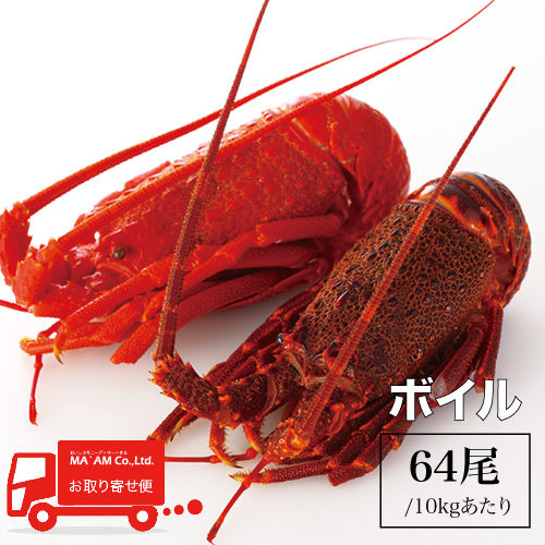 ケース販売 セントポール島沖 ボイルロブスターホール 64尾 10kg