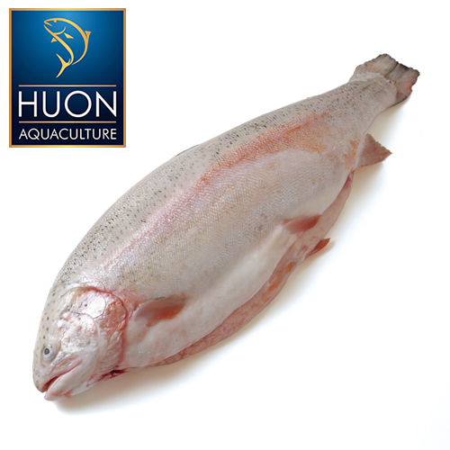 ヒューオン フレッシュ オーシャントラウトサーモン セミドレス 頭付き