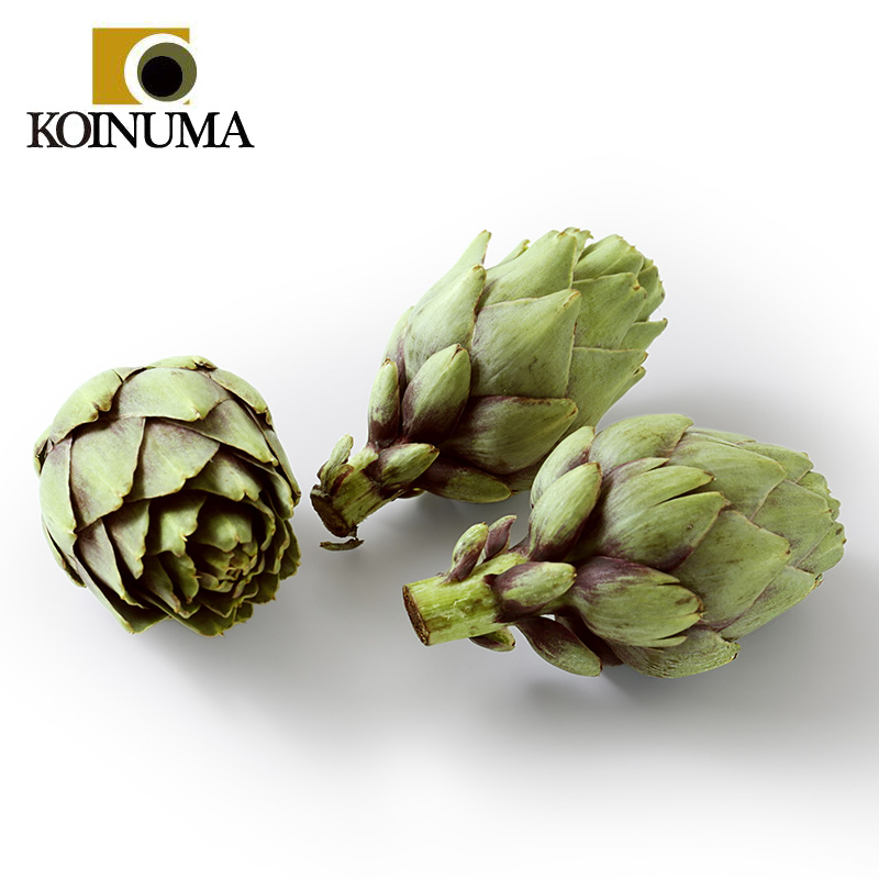 鯉沼商会 フランス産 フレッシュ アーティチョーク バイオレット 鯉沼商会 フランス産 フレッシュ アーティチョーク バイオレット