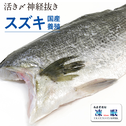 愛媛県産 活き〆神経抜き AF凍結 スズキフィレ(皮付き) □□□
