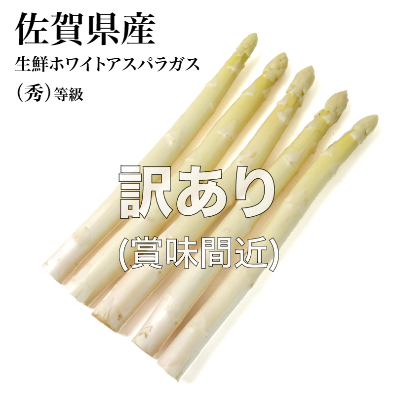 ボワロン フルーツピューレ ポムベルト 青りんご 1kg