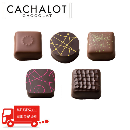 �J�V���� �V���R���A�\�[�g D 5��~20������	[519561]