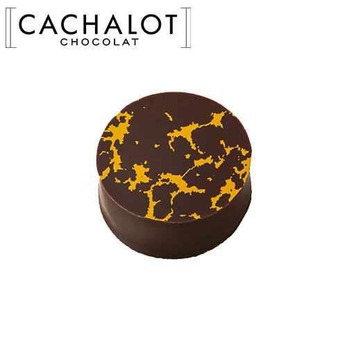 �J�V���� �`���R���[�g �K�i�b�V�� �p���h�[�� 20������ [754001]