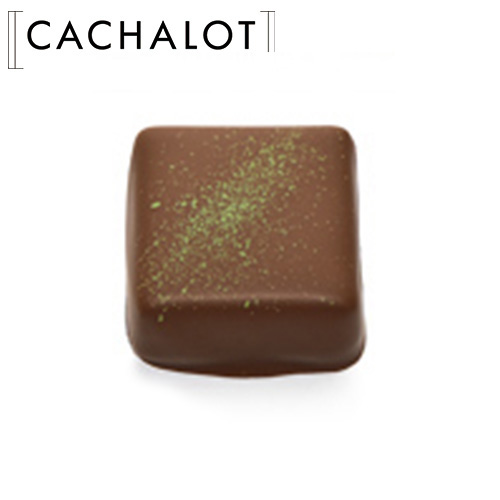 �J�V���� �`���R���[�g �K�i�b�V�� ���� 20������ [754010]