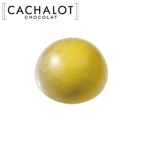 �J�V���� �`���R���[�g ���[���h �x���K���b�g 20������ [754030]