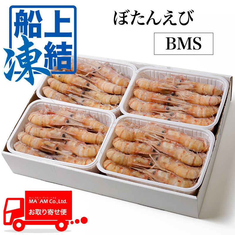 ケース販売 船内超急速冷凍 お刺身用 ぼたん海老 オス 卵なし Bmsサイズ