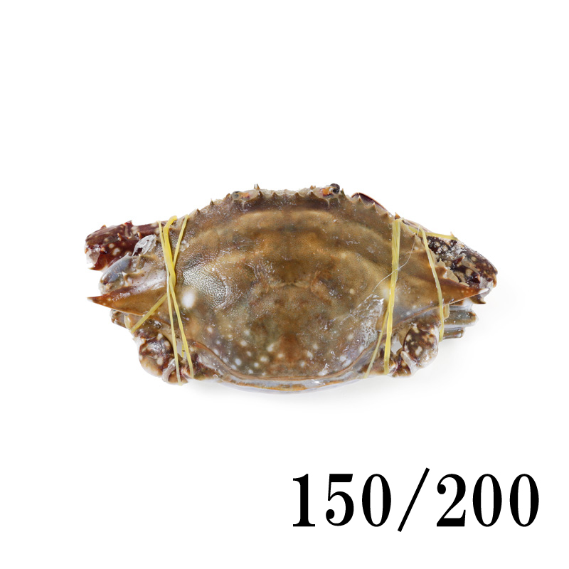 �n��I/�K�U�~�N���u ���E���h 150/200 [204125]