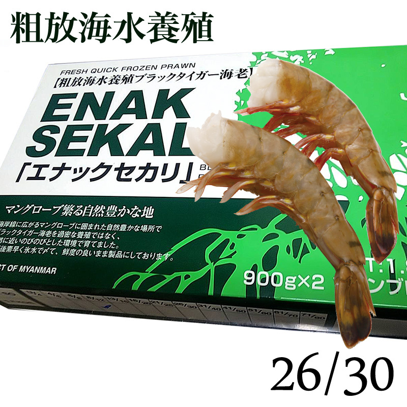 エナックセカリ 粗放海水養殖 無頭ブラックタイガーエビ 26 30 1 8kg 900g 2blk